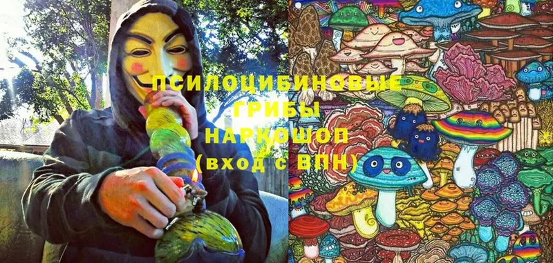 Галлюциногенные грибы Magic Shrooms  Оханск 